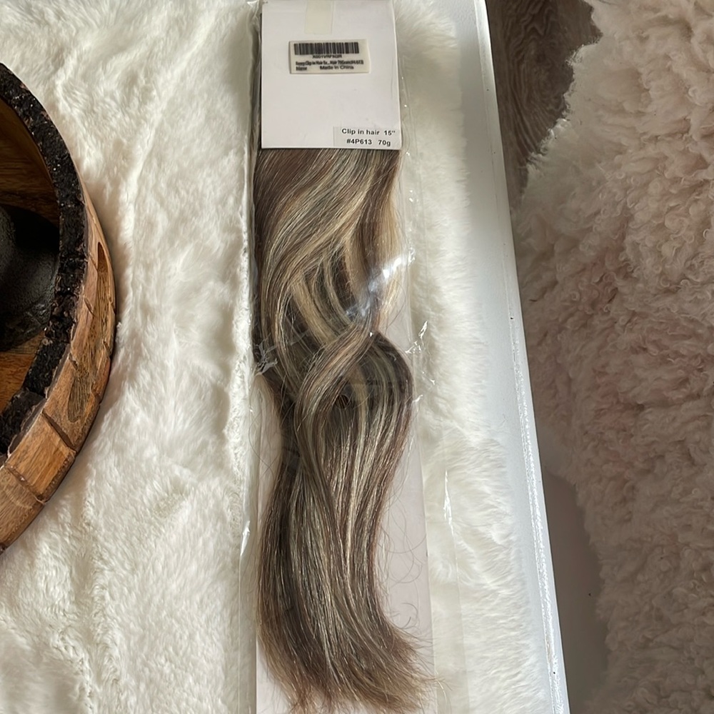 Remy Clip in Hair Extensions